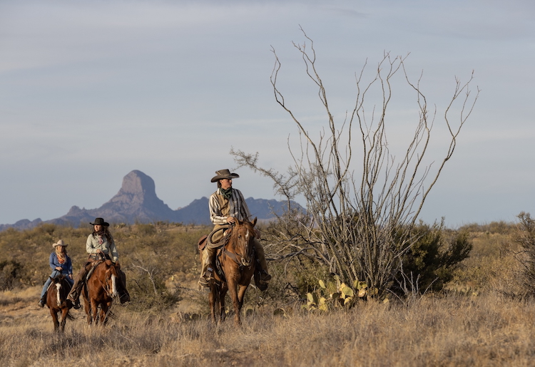 Images: Scott T. Baxter